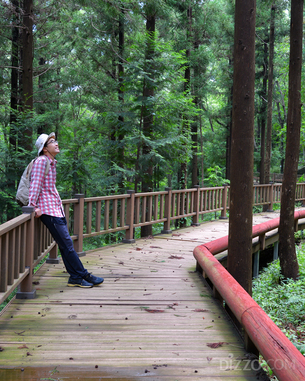 시원한 숲터널에서 걸어보자…8월에 가기 좋은 전국 시원한 자연휴양림 5곳