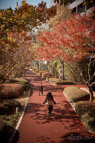 도심 속 호텔에서 가을 정취 느껴볼까? 다양한 혜택과 구성으로 투숙객 유혹하는 &#39;호텔 가을 패키지&#39; 모음