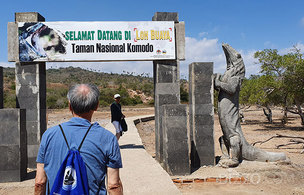 [인도네시아 색다른 여행기] '지구의 마지막 공룡' 코모도왕도마뱀과 마주하다