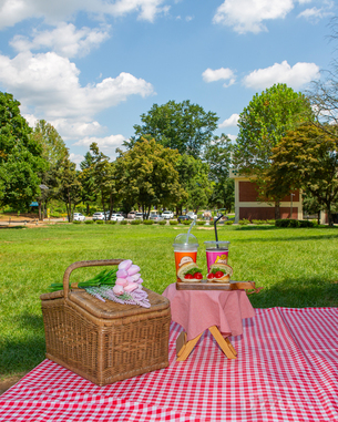 9월에 가볼 만한 곳…가족과 가기 좋은 경기도 피크닉 명소 6곳