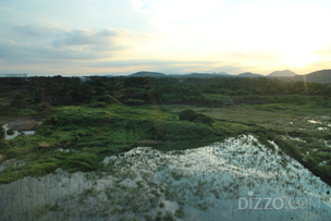 [제주도 여행기] 제주도를 오롯이 경험할 수 있는 쉬운 여행 실천법