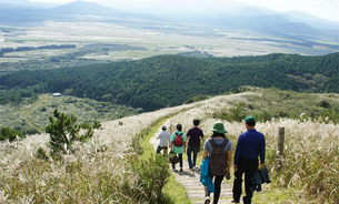 10월 제주도로 가을 여행 떠날까? 10월 제주도에서 해봐야 할 10가지 여행 정보