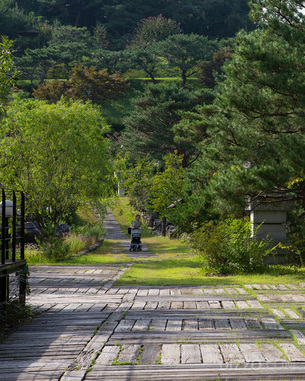 템플스테이, 펫 리조트, 가족 캠핑 등 테마별로 골라가기 좋은 &#39;경기도 가을 여행지 4곳&#39;