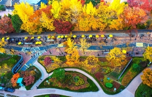 서울 단풍 명소 이렇게 많아? 서울에서 단풍 즐기기 좋은 길은 93곳!