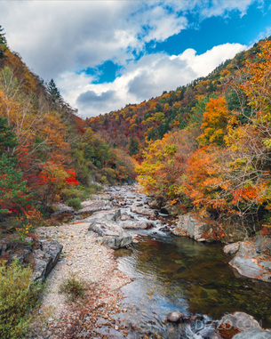 영화와 드라마 촬영지로 나왔던 바로 그 곳…11월에 걷기 좋은 전국의 길 5곳