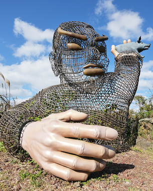 12월에 제주도 여행 간다면 가봐야 할 여행지와 제철 음식