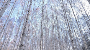 국내 겨울 여행 어디로 갈까? 추위 만끽하기 좋은 여행지 vs. 추위 피하기 좋은 여행지