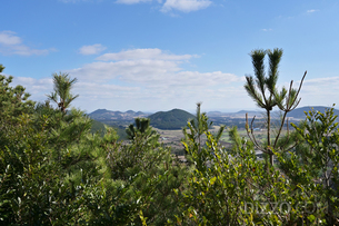 일출축제, 동백꽃 명소, 한라산 등 1월에 제주도 간다면 가봐야 할 추천 명소