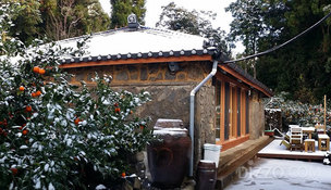 올 겨울 제주도로 여행갈까? 겨울에 제주도를 제대로 즐기기 좋은 곳