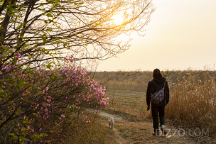 도심 떠나 반려견과 걸어볼까? 반려견과 걷기 좋은 전국의 길 5곳