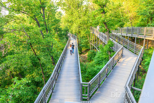 안산, 성산, 개운산, 배봉산…등산 초보자들도 쉽게 오를 수 있는 서울 속 동산 4곳
