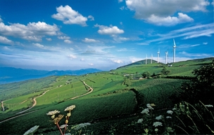 감각으로 새기는 국내 여행…오감 만족을 극대화할 수 있는 여행지와 특색 있는 지역 숙소