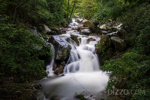 한적한 계곡 따라 천천히 걸어볼까? 8월에 걷기 좋은 전국 계곡길 5곳
