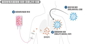 식약처, 완치자 혈장으로 만든 국내 개발 코로나19 치료제 2상 임상 승인