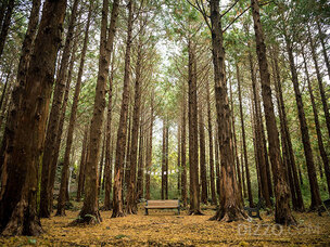 올가을 호텔로 휴가갈까? 늦캉스족이 알아두면 좋은 호텔 16곳