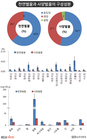 사탕무 사양 벌꿀도 완벽 판별! 농진청, 새로운 ‘사양 벌꿀 판별법’ 개발