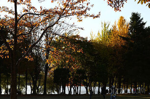 서울랜드, 사회적 거리두기 가능한 언택트 명소 소개