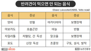 추석 연휴에도 건강하게! ‘반려견’의 안전한 명절 나기 돌봄 방법