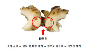 가을에 자연 독성 강해지는 ‘소라’, 안전하게 먹는 방법은?