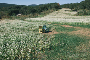 늦가을의 정취 느끼며 걸을까…11월에 걷기 좋은 전국 길 5곳
