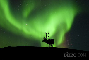여행자와 현지인 모두 즐거울 수 있는 '캐나다 지속 가능한 여행지'