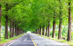 자동차 타고 가기 좋은 &#39;국내 드라이브 스루 여행지 4곳&#39;