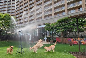 카페, 호텔 등 반려견과 함께 휴식할 수 있는 곳