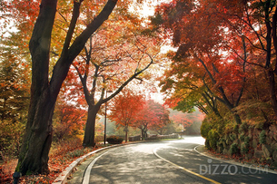단풍놀이 &#39;호텔&#39;에서 한다! 뷰(view)캉스 즐기기 좋은 호텔 