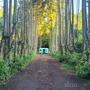 김포의 이탈리아, 인천에서 느끼는 사막 등 이국적인 정취 물씬 느낄 수 있는 국내 이색 여행지