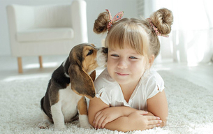 펫팸족(Pet+Family) 수요 증가 추세…반려견 맞춤 혜택으로 구성한 다채로운 &#39;호텔 펫캉스&#39; 