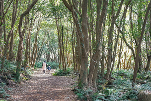 겨울을 제대로 체험할 수 있는 전국 여행지 6곳