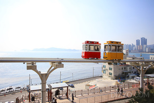 3월에 가볼 만한 전국 가족 여행지 6곳