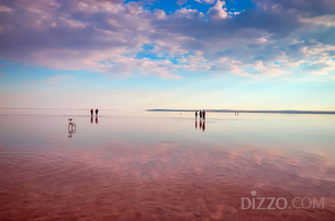 벚꽃 대신 즐길 수 있는 터키의 핑크빛 여행지 '투즈 골루'