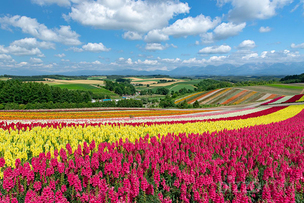 해외여행 수요 잡기 위해 여행업계 다채로운 상품 출시