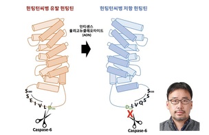 KAIST, 헌팅턴병 원인 제거법 발견