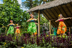 지속 가능한 여행을 위한 &#39;말라마 하와이&#39; 여행법 5가지 