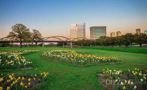 로드 아일랜드, 신시내티, 포트워스 등 2023년 꼭 가봐야 할 미국 여행지 5곳