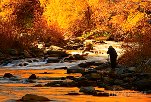 수확의 시기를 맞은 뉴질랜드 전역의 풍경