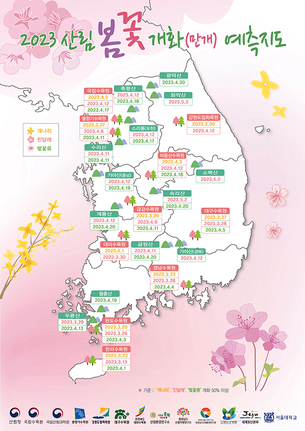 3월 중순 봄꽃 개화 시작… 2023년 지역별 봄꽃 개화 지도 