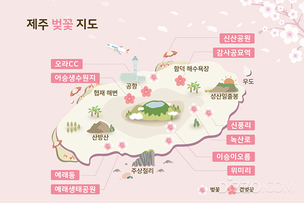 제주패스, 제주 벚꽃 지도 제작해 '벚꽃명소와 카페' 소개