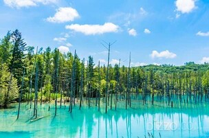 한여름에도 시원함을 느낄 수 있는 일본 홋카이도…라쿠텐 트래블, 이색 여행지와 료칸 소개