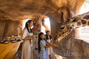 아부다비 여행 최적기 바로 &#39;지금&#39;… 아부다비 필수 관광지 7곳