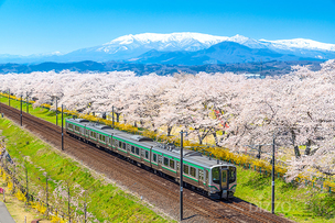올 봄 일본에서 걷기 여행 할까? 트레킹 여행하기 좋은 일본 여행지 4곳