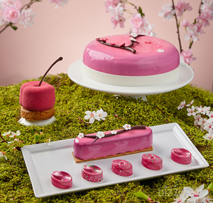 벚꽃 시즌이 다가온다&hellip; 핑크빛으로 물드는 호텔가