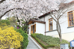 벚꽃, 진달래, 유채꽃 등 봄꽃 즐기기 좋은 ‘인천 봄꽃 명소’