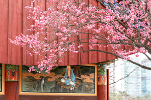 서울 꽃 구경 어디가 좋아? 다양한 꽃 즐길 수 있는 봄꽃 명소