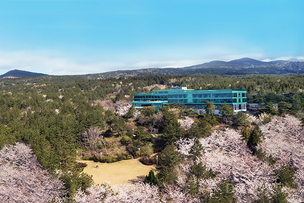 벚꽃 명소에 있는 호텔, 벚꽃 시즌과 맞물려 프로모션 진행