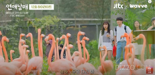 [TV 속 여행지] JTBC '연애남매' 속 촬영지로 등장한 싱가포르 여행 명소