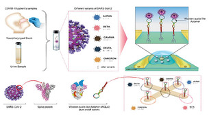 코로나 변종까지 수 초 만에 감지! 국내 연구진, 압타머 기반 '멀티 바이오센서 시스템' 개발