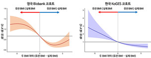 성인 당뇨병, 유전적 BMI보다 실제 BMI 클수록 발병 위험 높다